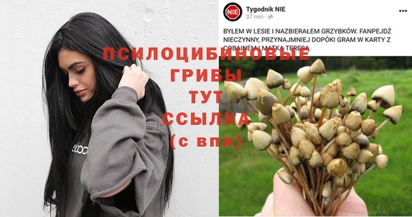 спиды Алзамай