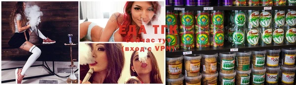 спиды Алзамай